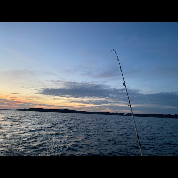 Meet your Posher, Silas - Picture 1 of 1